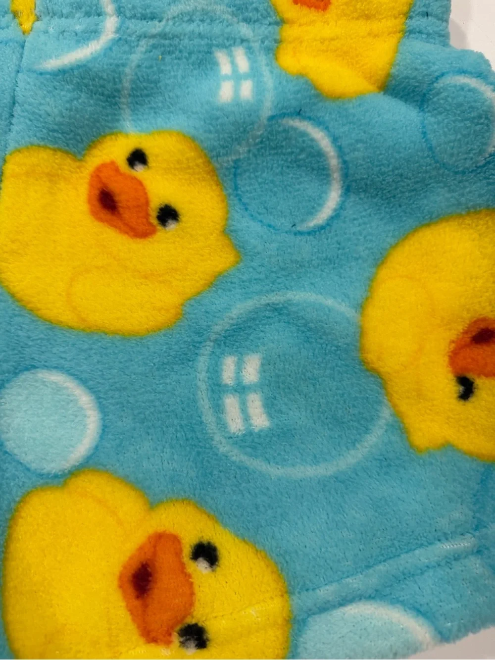Blue Plush Women’s Shorts with Duck and Frog Details